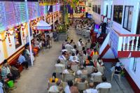 Brahmakalashanga Rathotsava at Shrimath Anantheshwar Temple Vittal (4 May 2025)